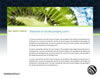 Homepage: outdoor-kiwi-1