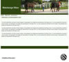 Homepage: outdoor-horses-1